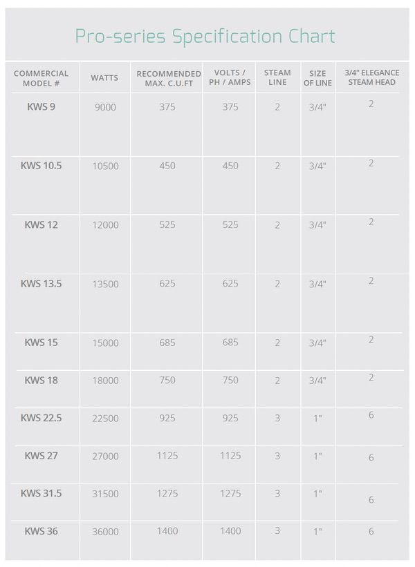 STEAMCORE™ Pro-Series Commercial Steam Generator - Image 2